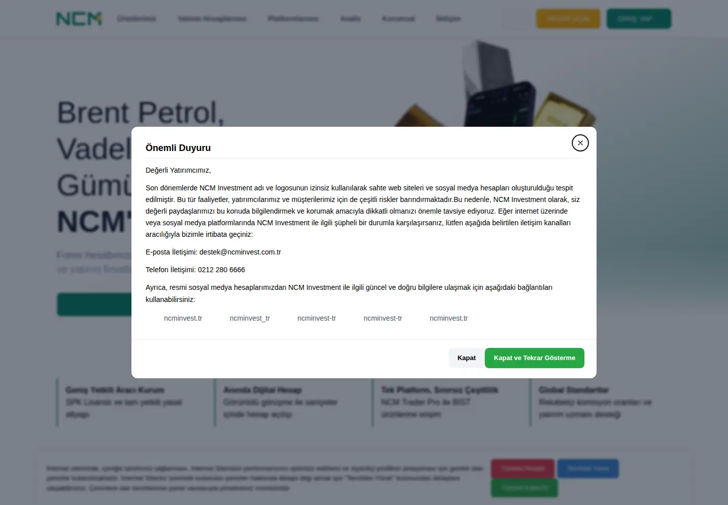 Screenshot of ncminvest.com.tr