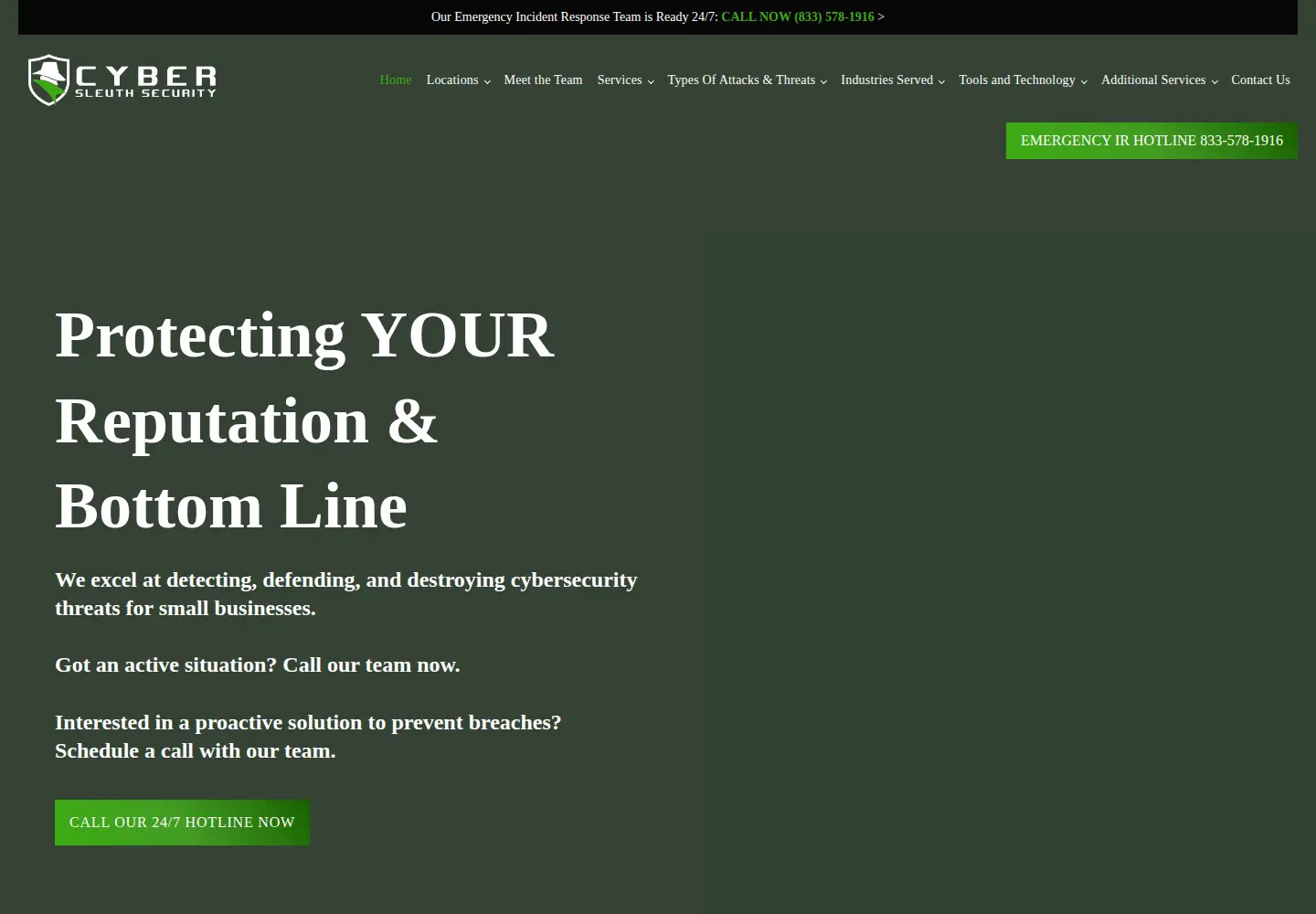 Captured homepage of cybersleuthsecurity.com in the current scan