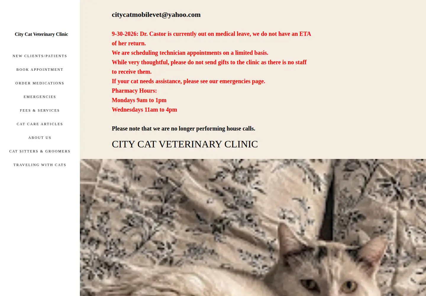 Screenshot of citycatmobilevet.com