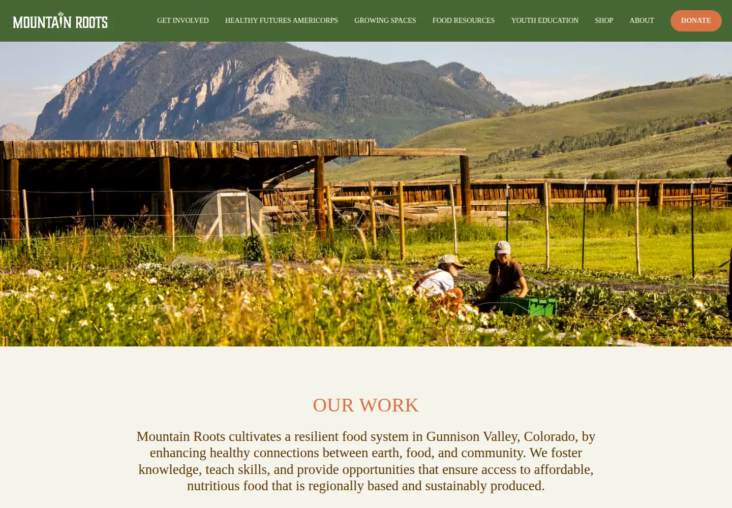Captured homepage of mountainrootsfoodproject.org in the current scan
