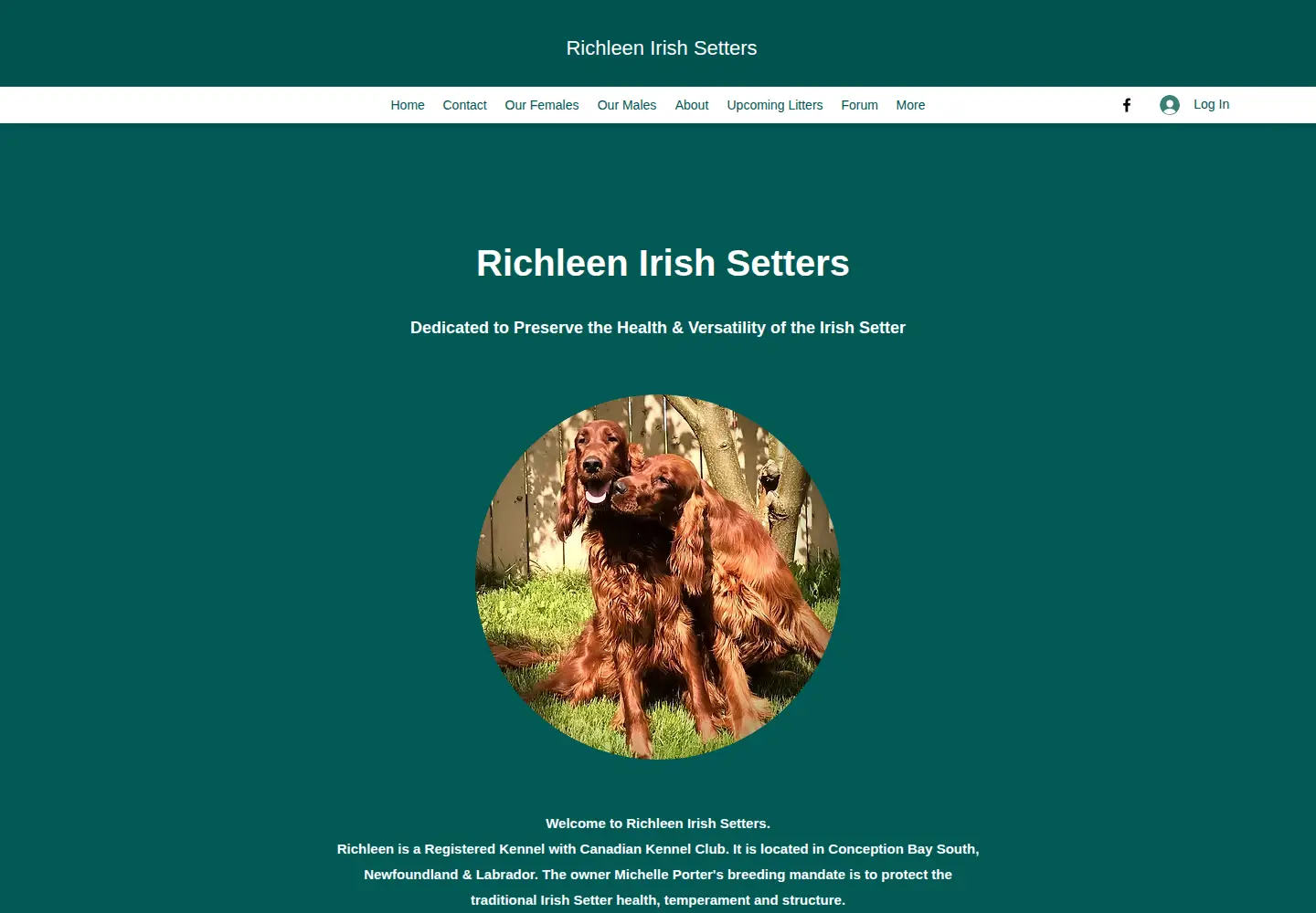 Captured homepage of richleen.com in the current scan