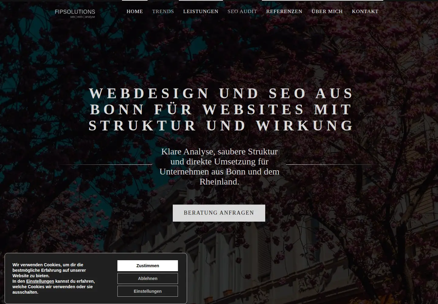 Screenshot of fipsolutions.de