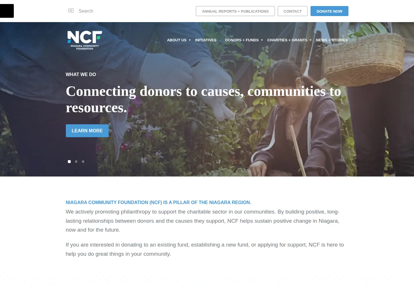 Screenshot of niagaracommunityfoundation.org