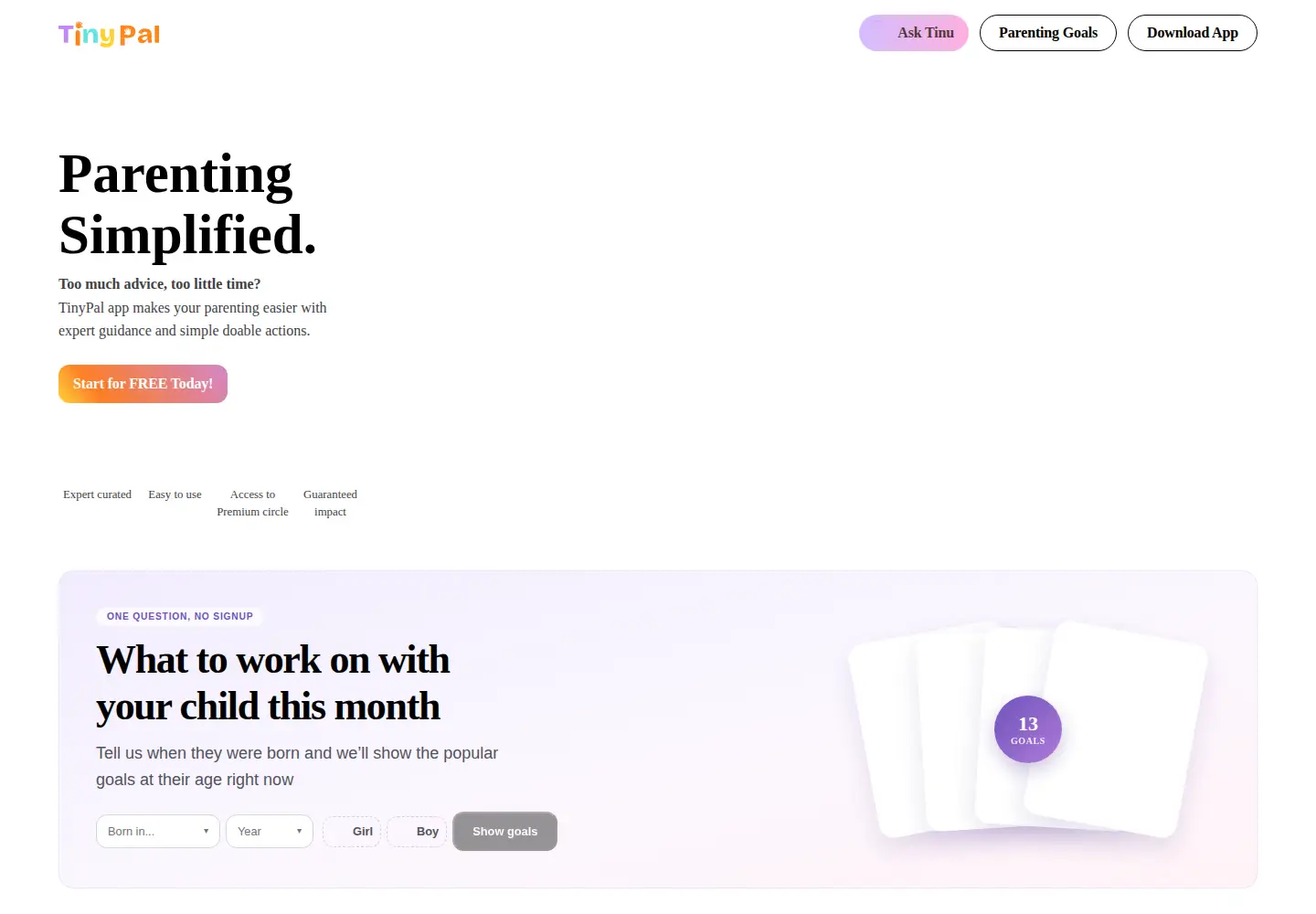 Captured homepage of tinypal.com in the current scan