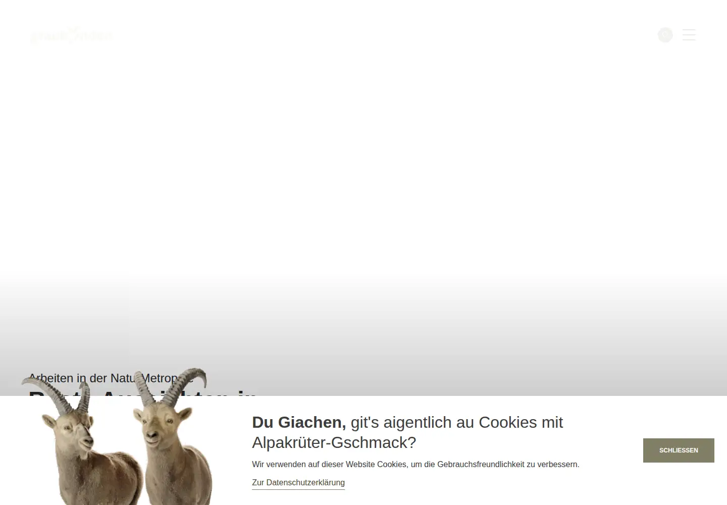 Captured homepage of naturmetropole.ch in the current scan