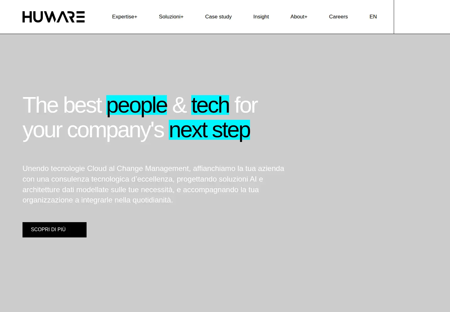 Screenshot of huware.com