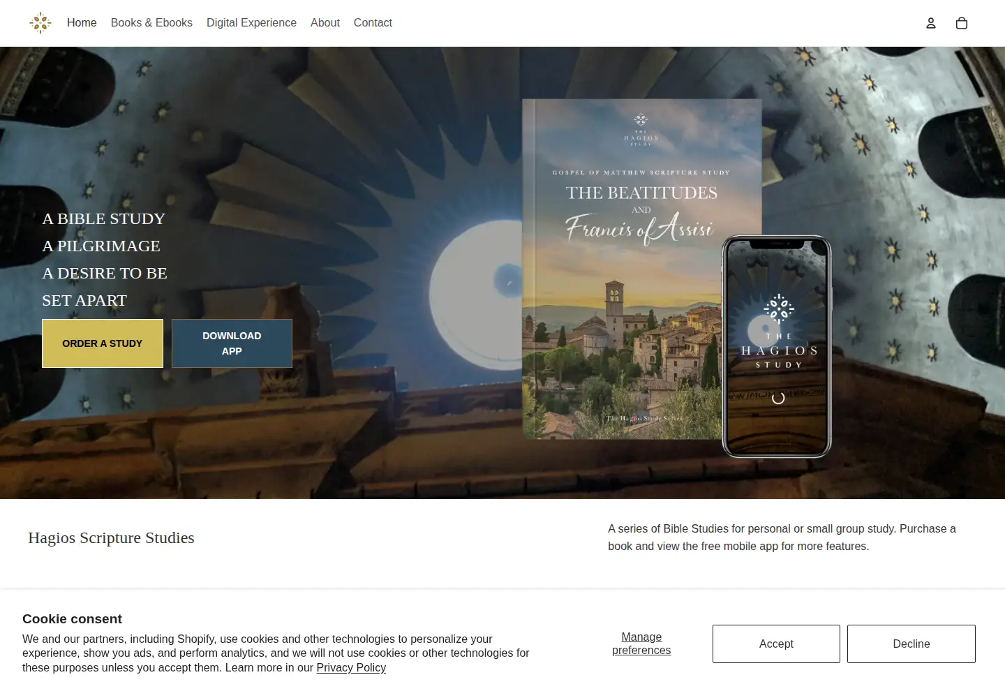 Captured homepage of hagios.study in the current scan