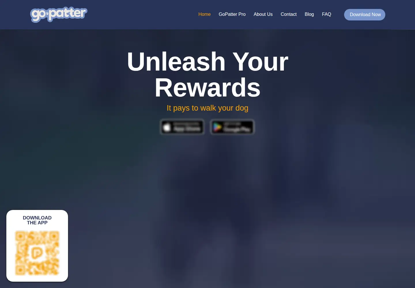 Captured homepage of gopatter.com in the current scan