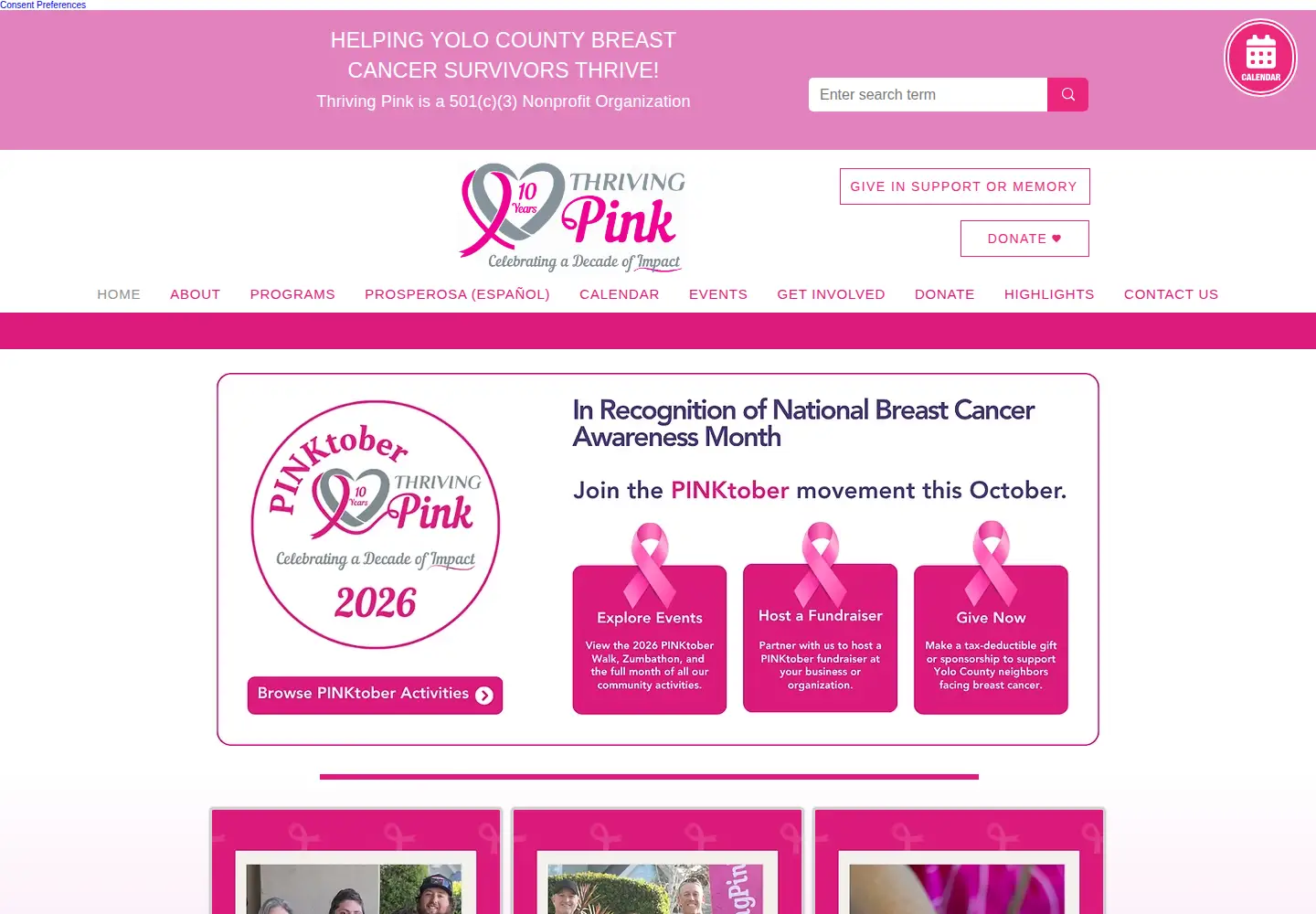 Captured homepage of thrivingpink.org in the current scan