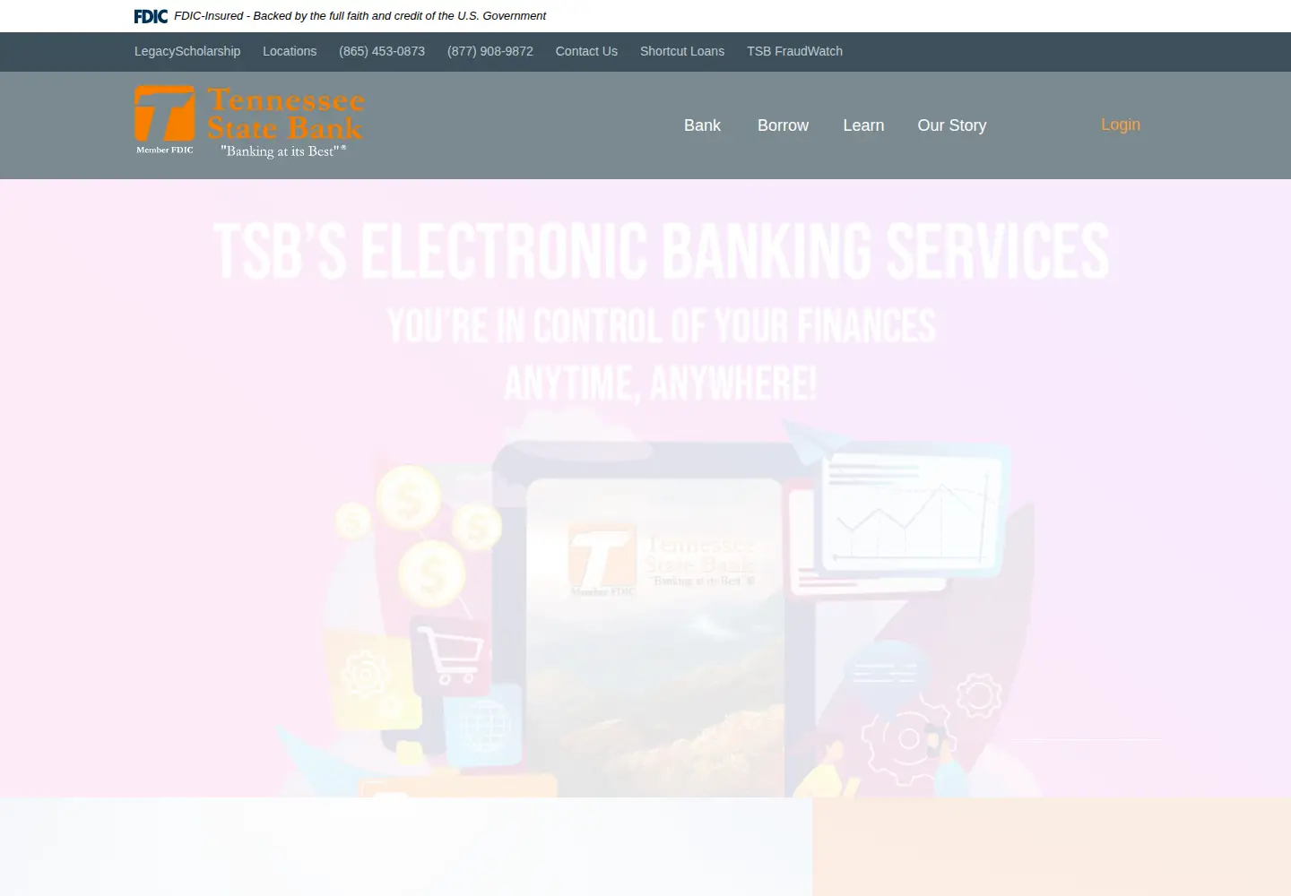 Screenshot of tnstatebank.com