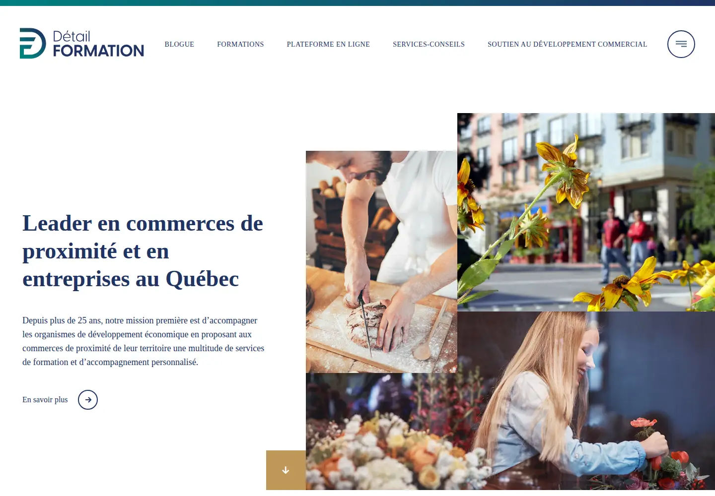 Screenshot of detailformation.com
