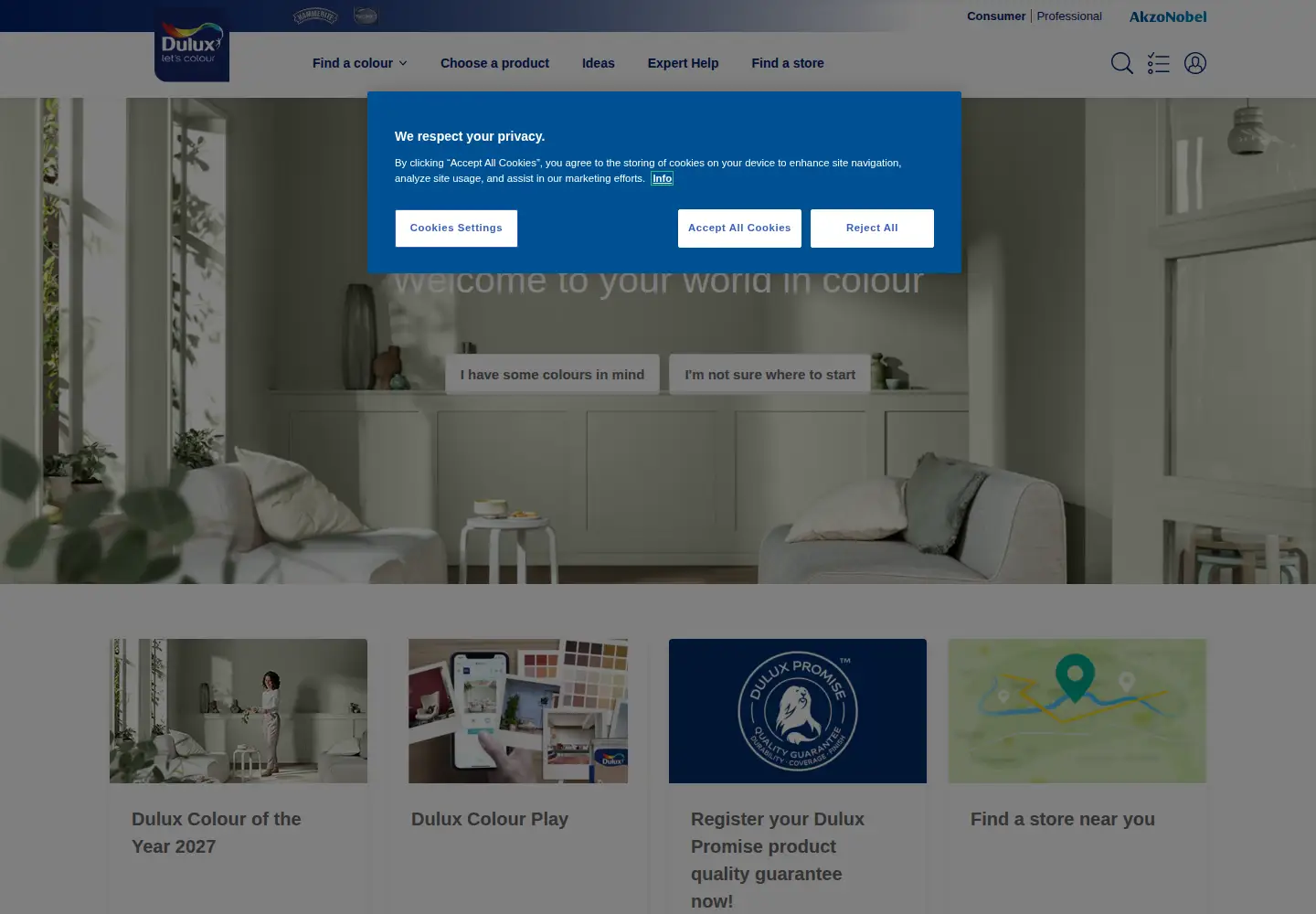 Screenshot of dulux.co.za