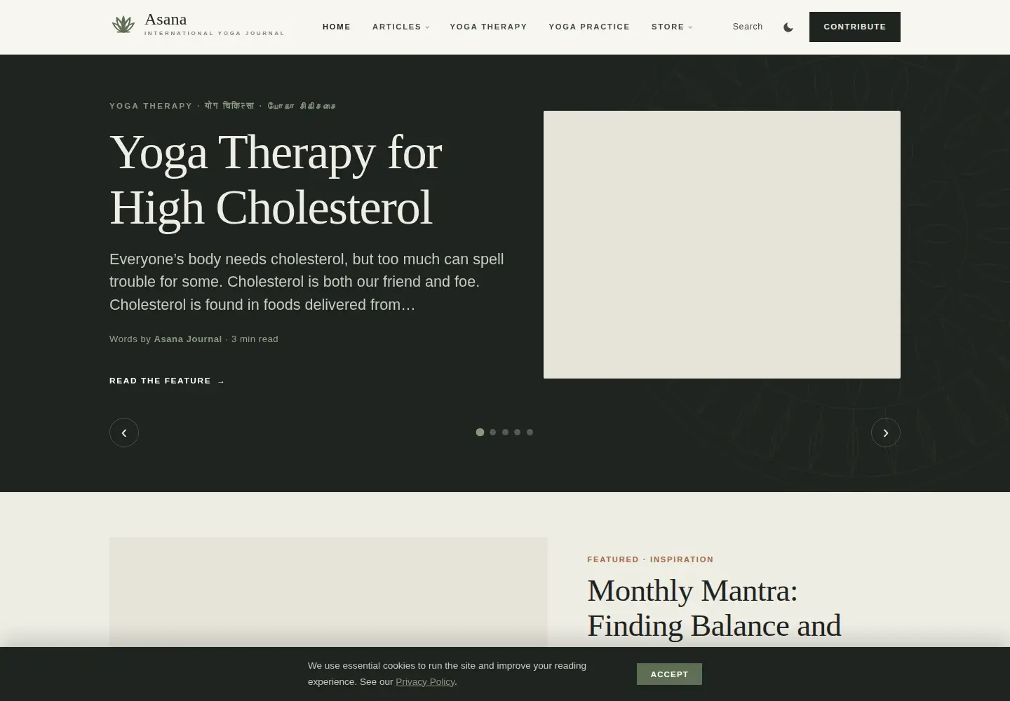 Screenshot of asanajournal.com