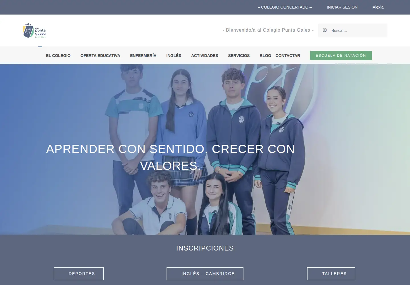 Screenshot of colegio-puntagalea.com