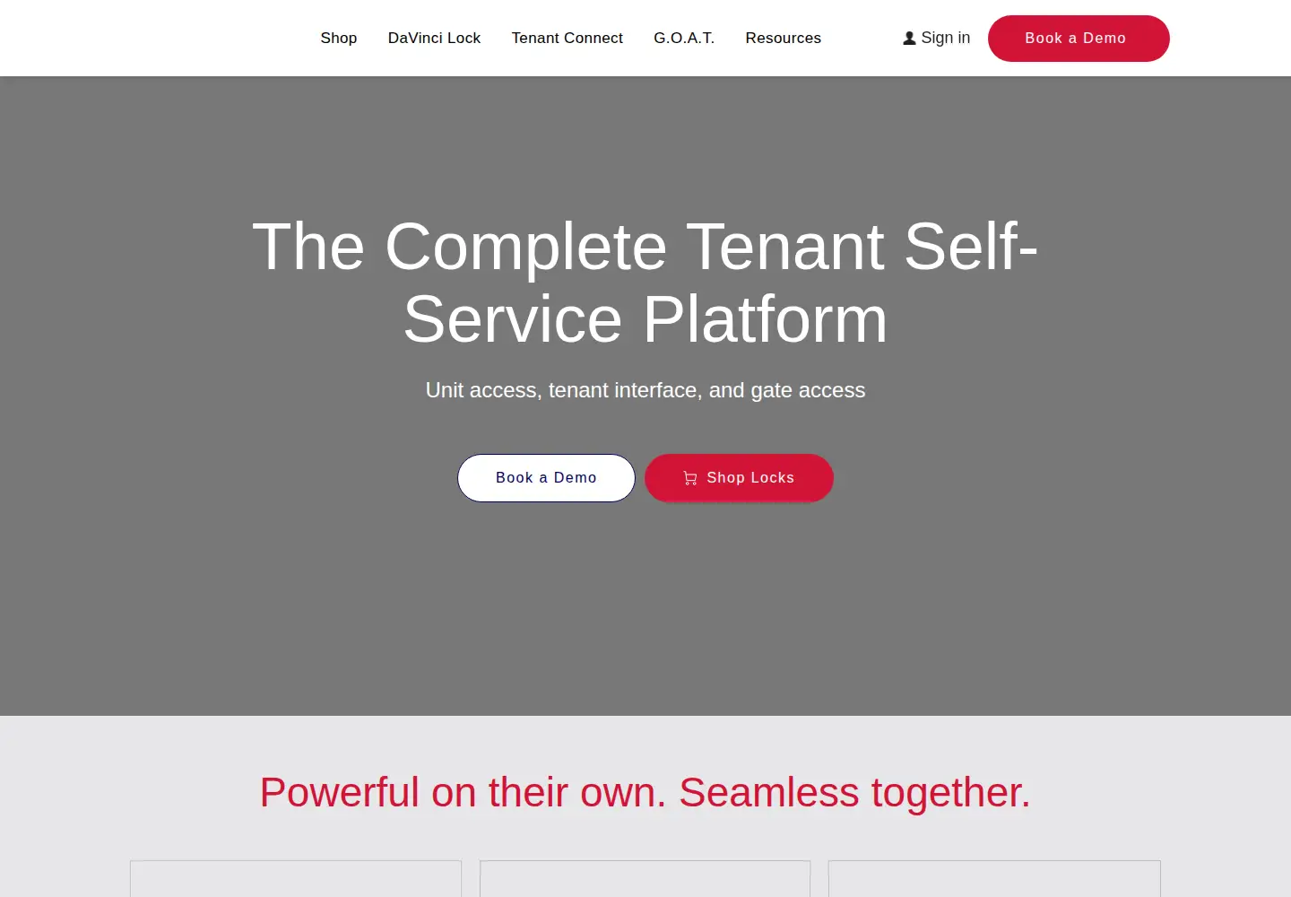 Screenshot of davincilock.com
