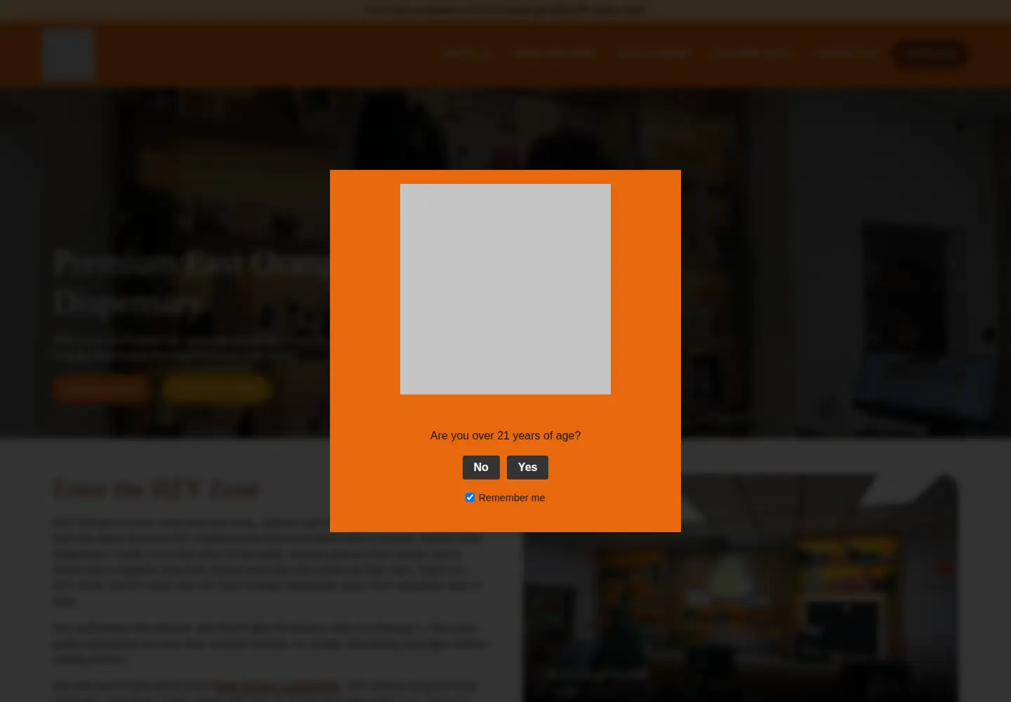 Captured homepage of hzygoods.com in the current scan