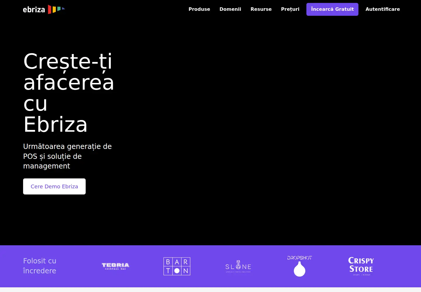 Screenshot of ebriza.com