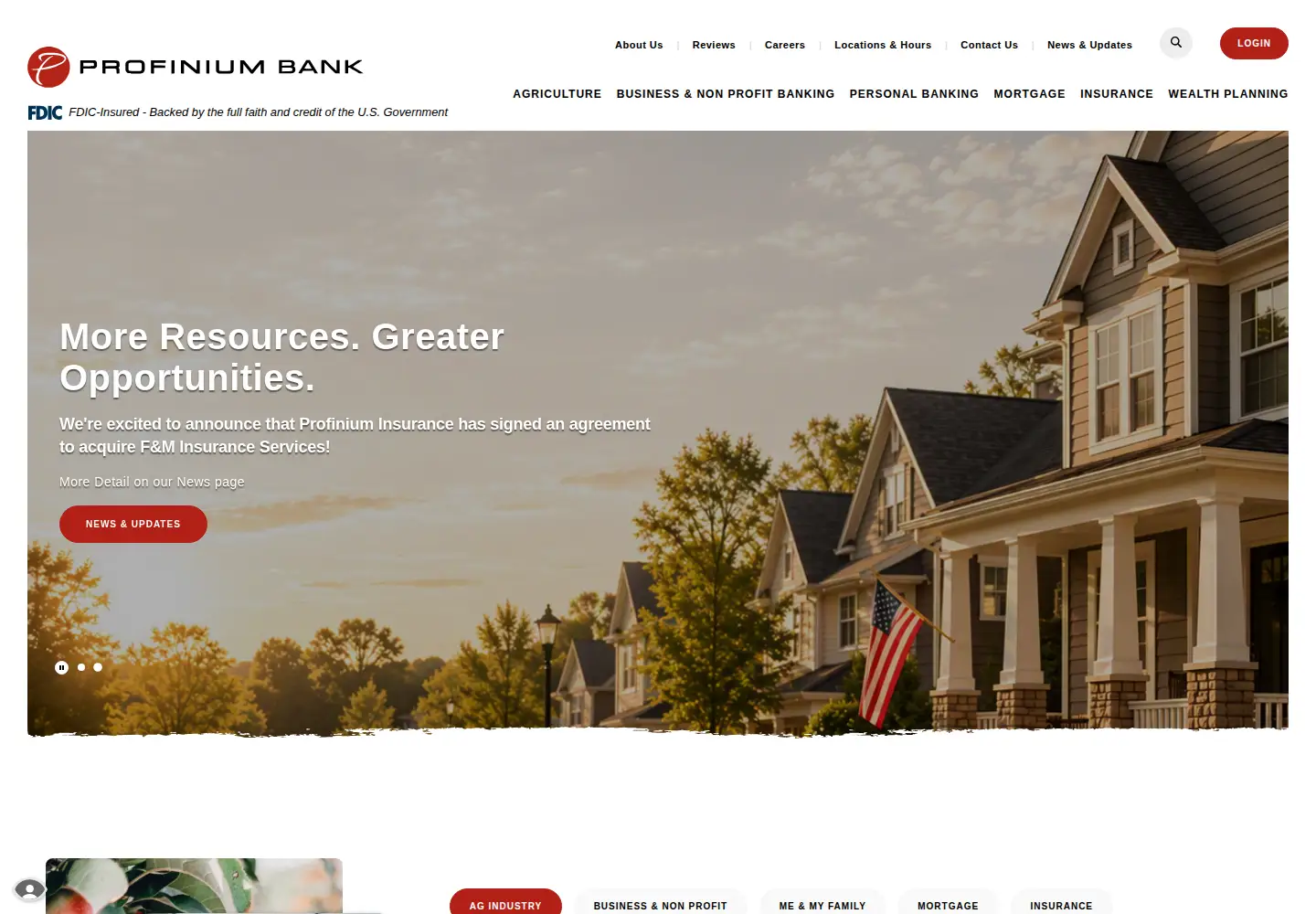 Captured homepage of profinium.com in the current scan