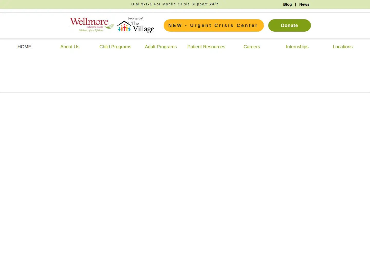 Captured homepage of wellmore.org in the current scan
