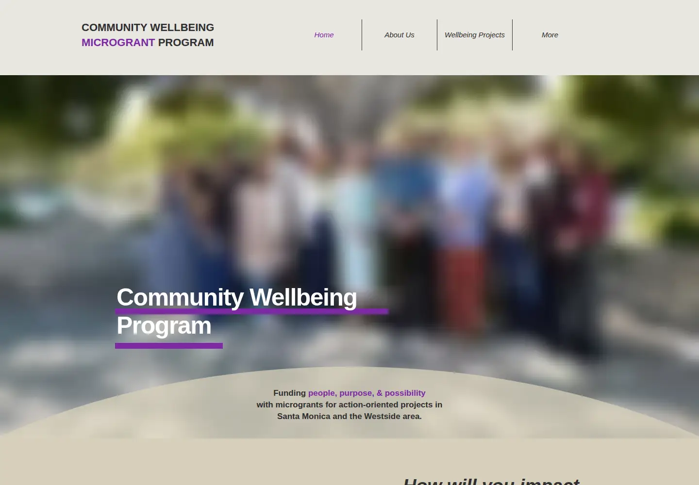 Screenshot of wellbeingmicrogrants.org