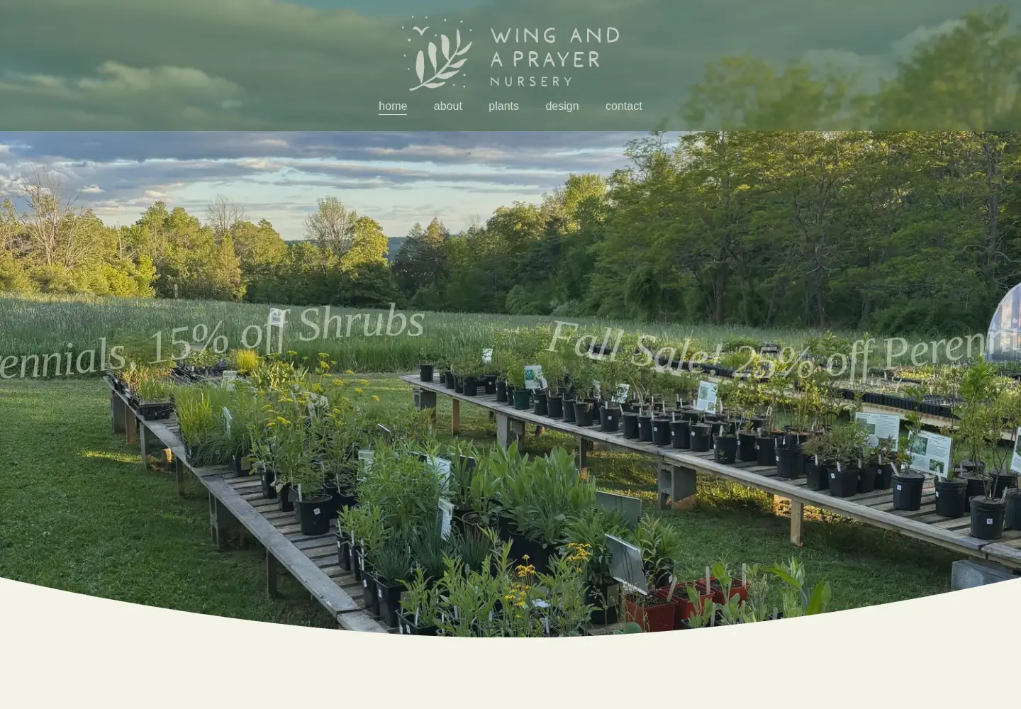Captured homepage of wingandaprayernursery.com in the current scan