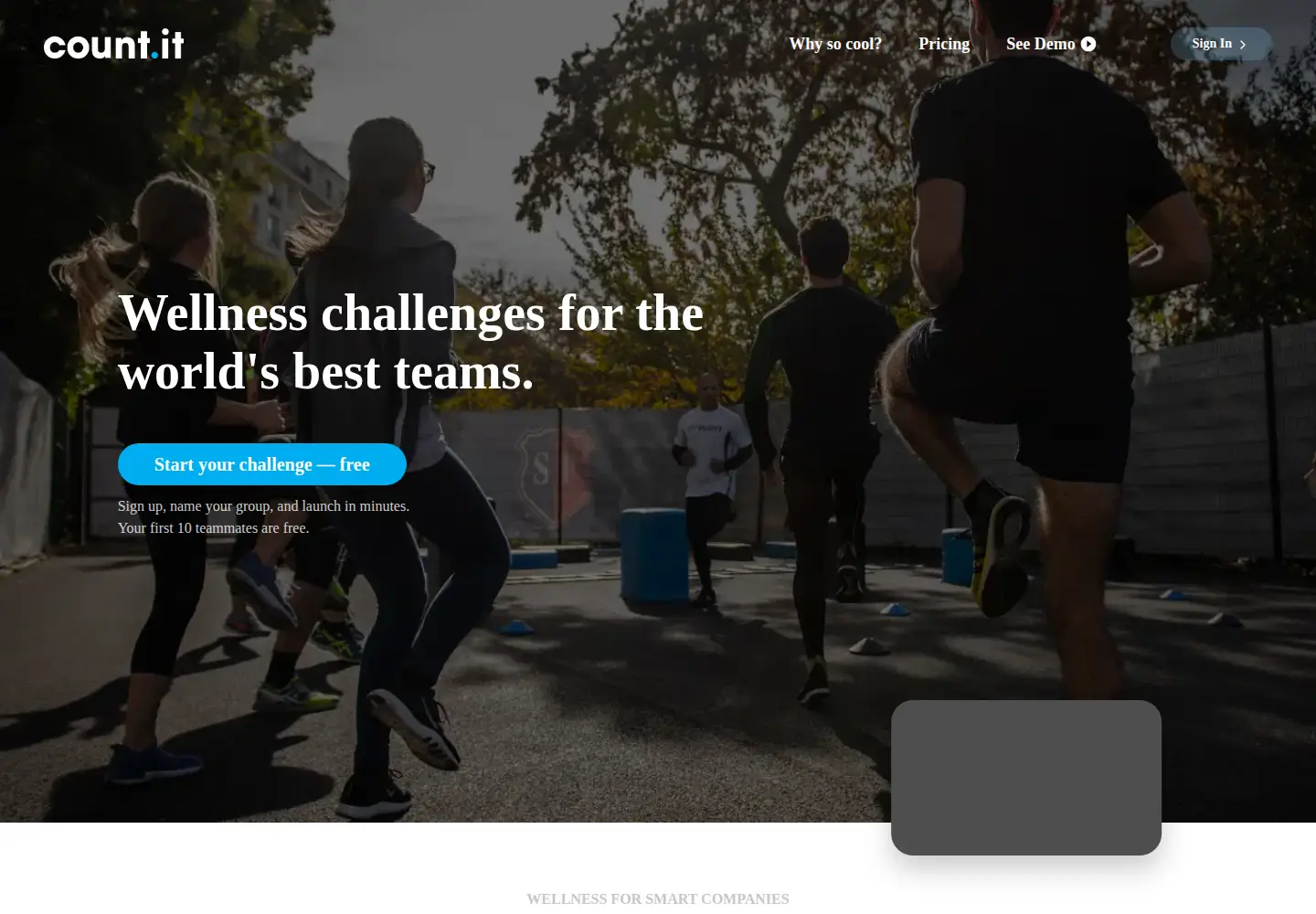 Screenshot of countit.com