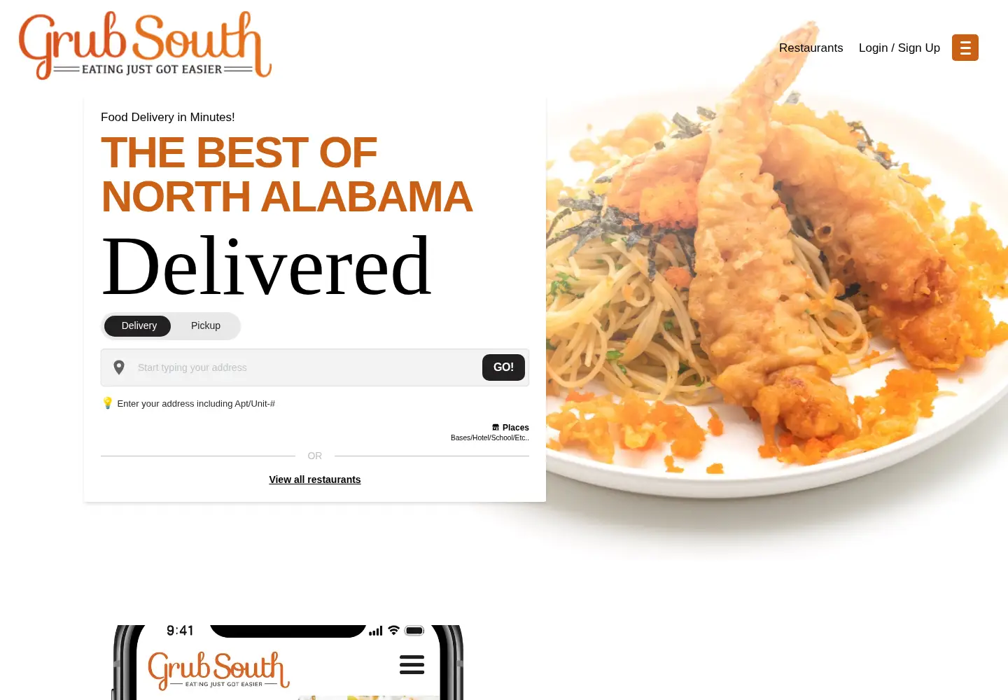 Captured homepage of grubsouth.com in the current scan