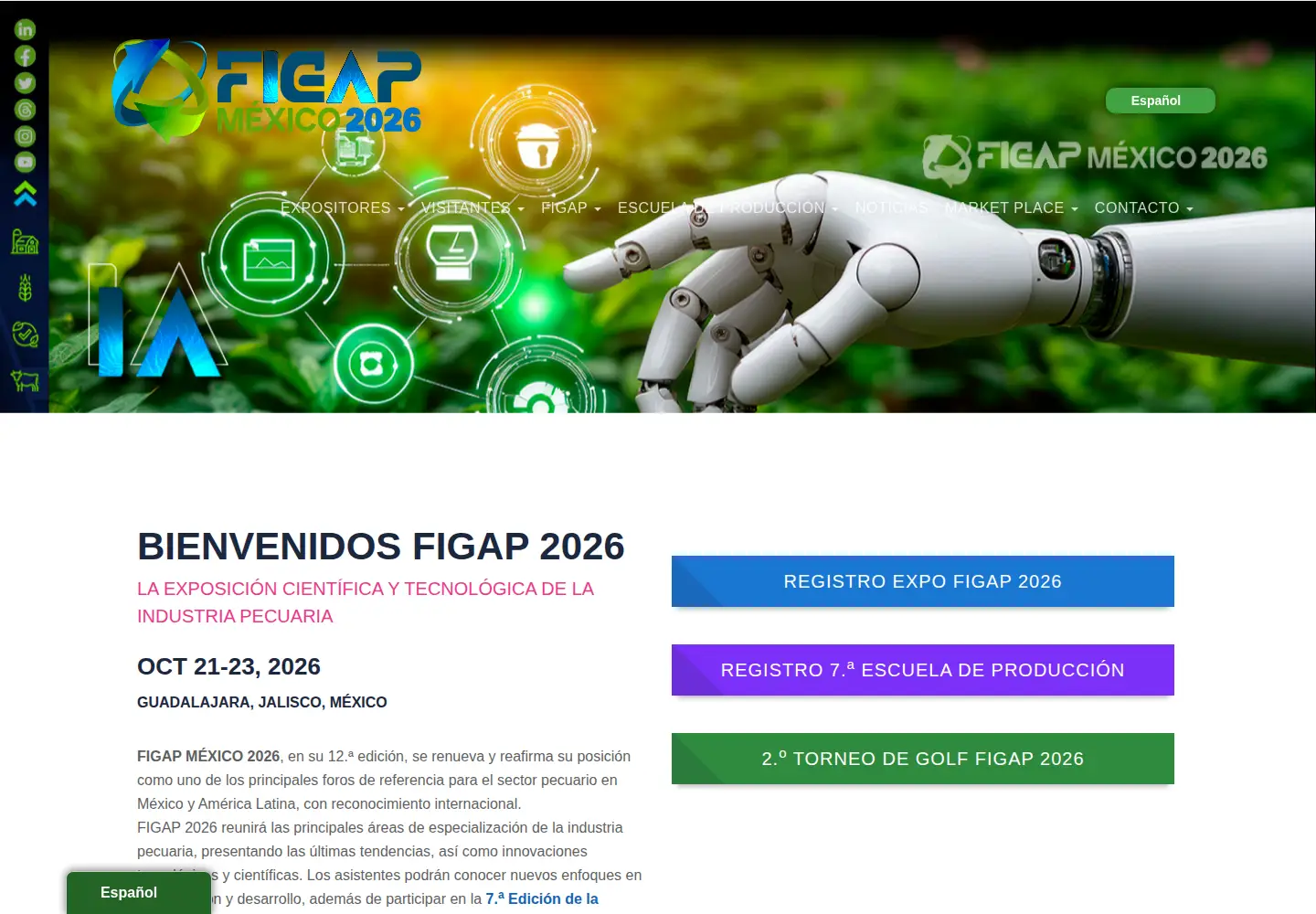 Screenshot of figap.com