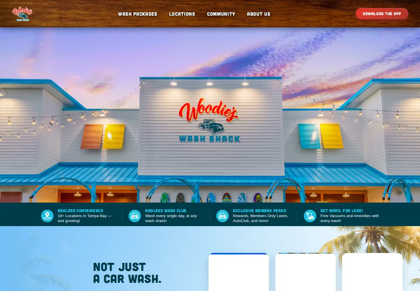 Captured homepage of woodieswash.com in the current scan