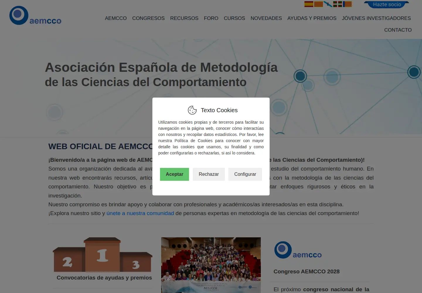 Captured homepage of aemcco.org in the current scan