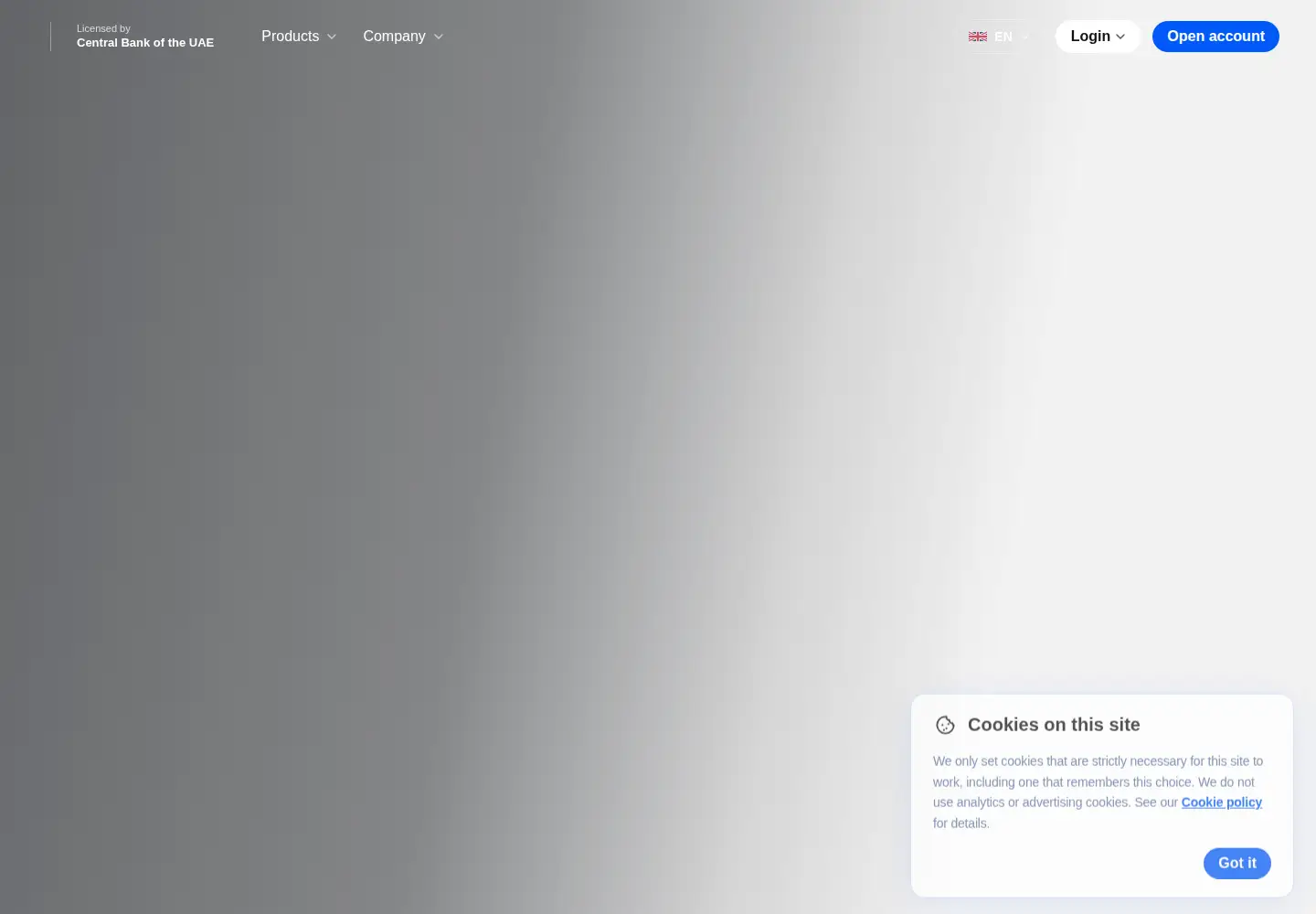 Captured homepage of kamelpay.com in the current scan