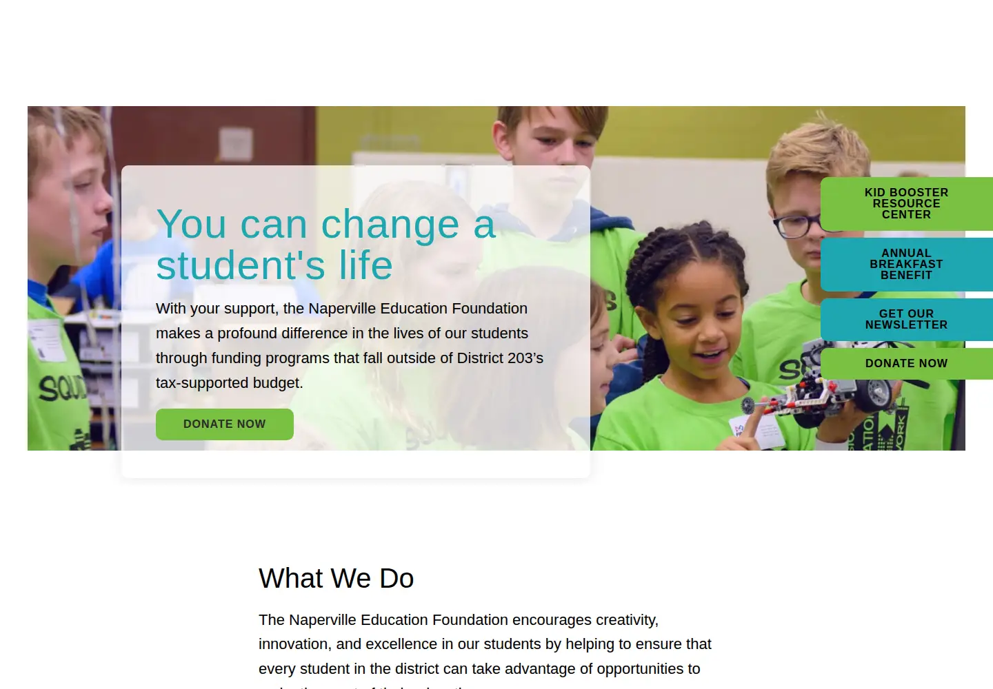 Captured homepage of nef203.org in the current scan