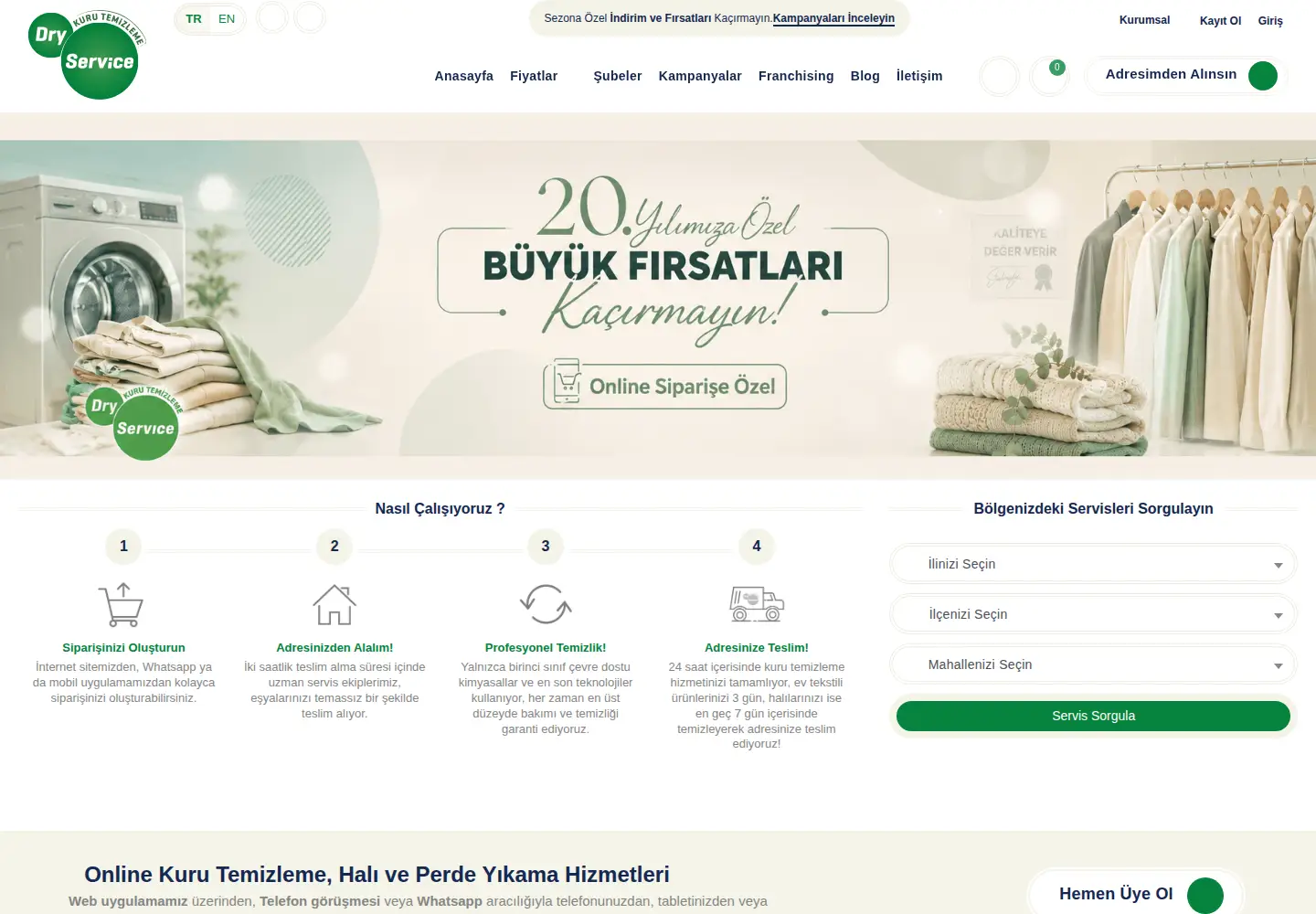 Captured homepage of dryservice.com.tr in the current scan