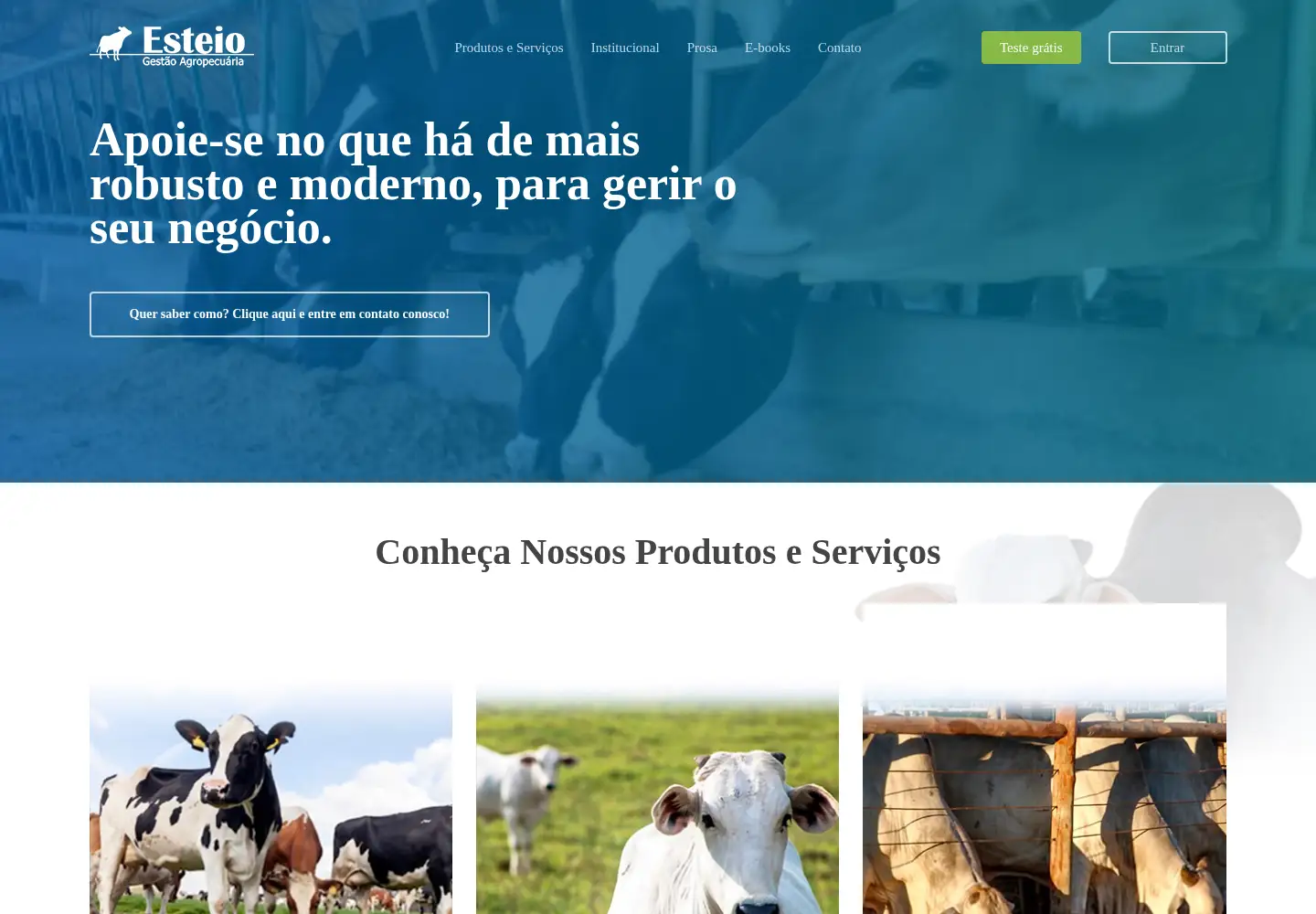 Screenshot of esteiogestao.com.br