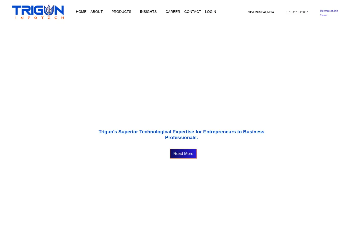 Screenshot of triguninfotech.com