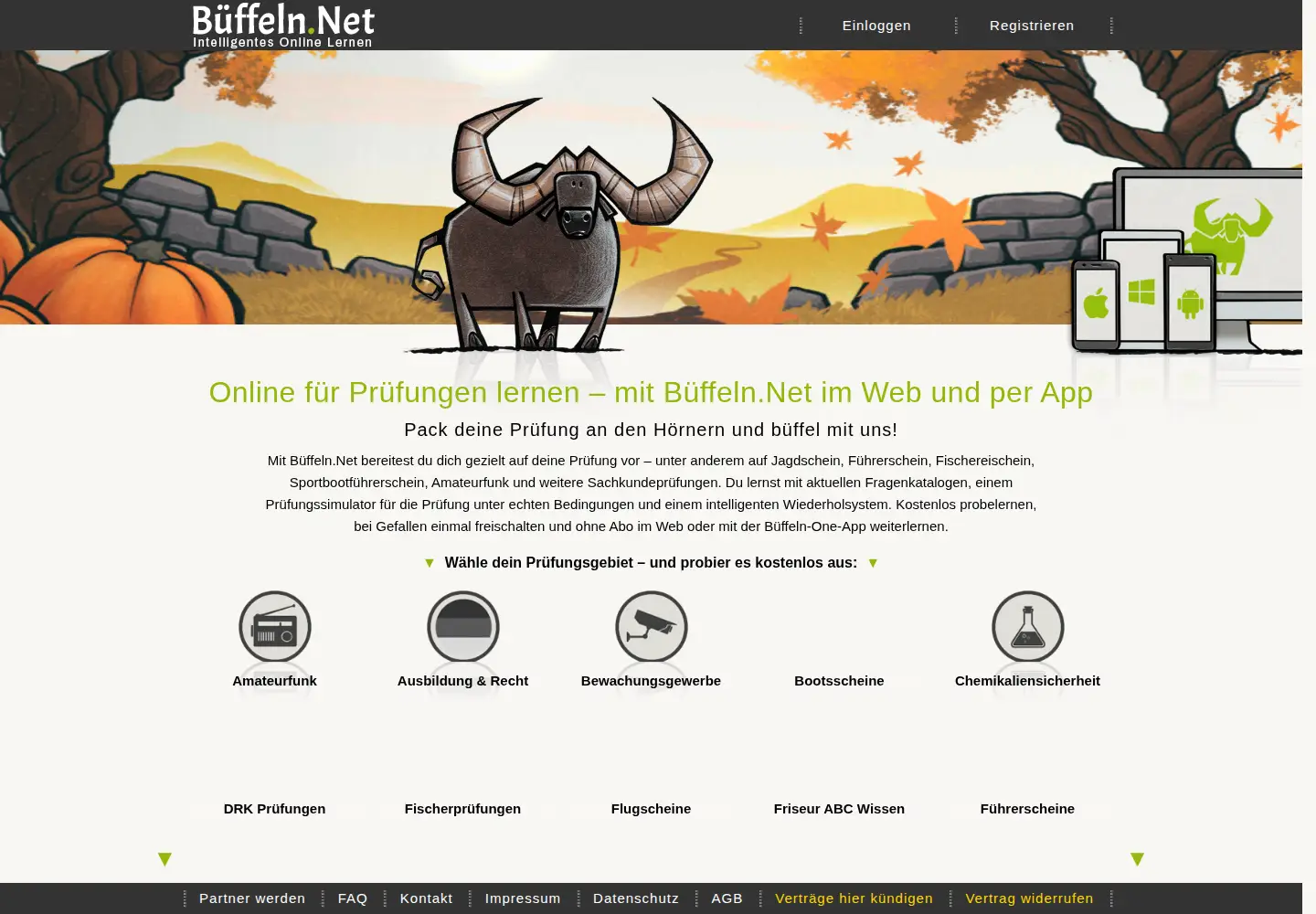 Captured homepage of bueffeln.net in the current scan