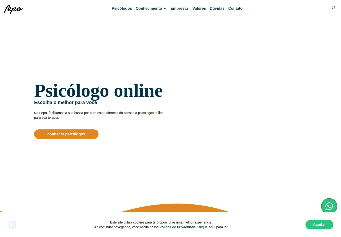 Captured homepage of fepo.com.br in the current scan