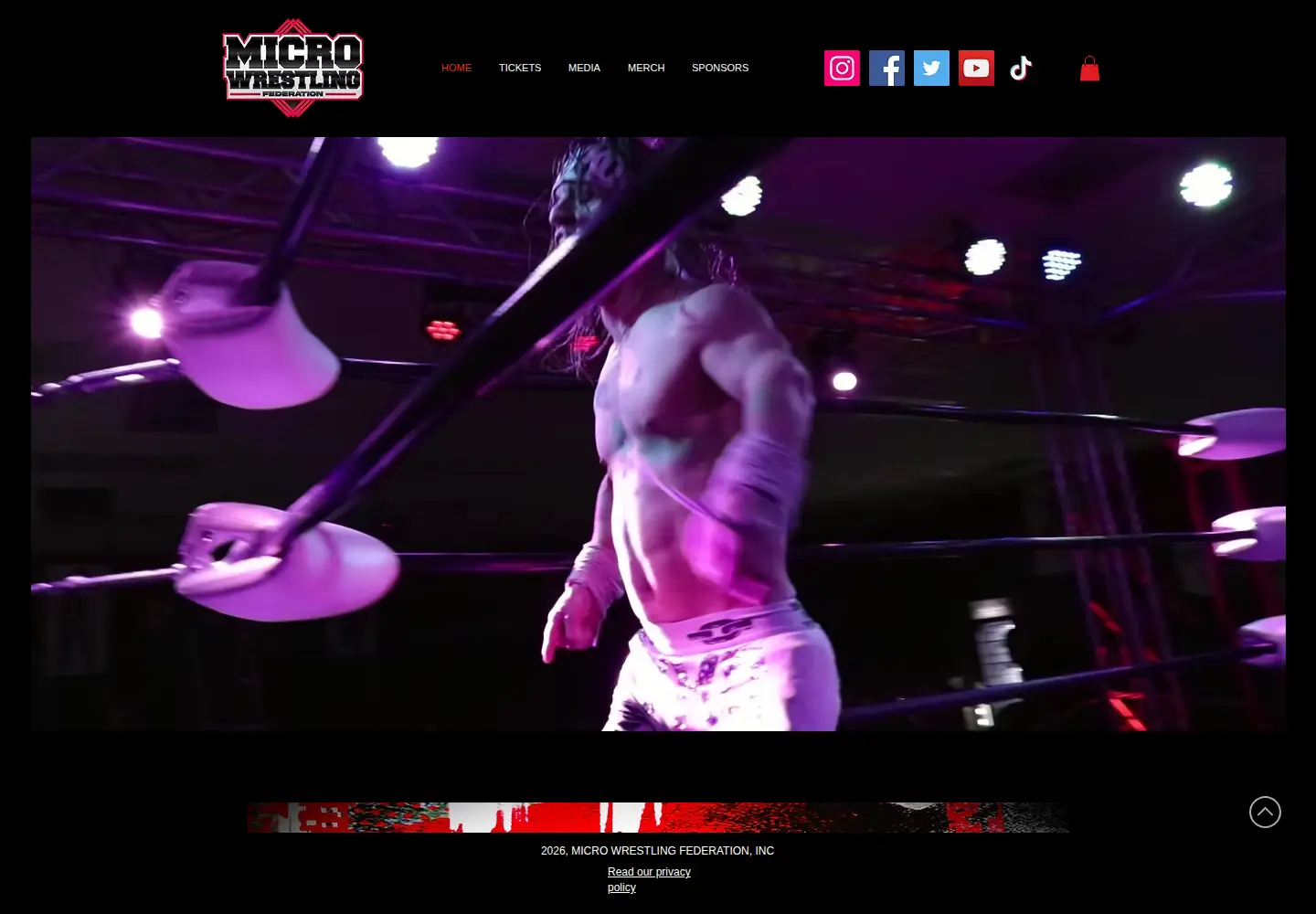 Screenshot of microwrestling.com