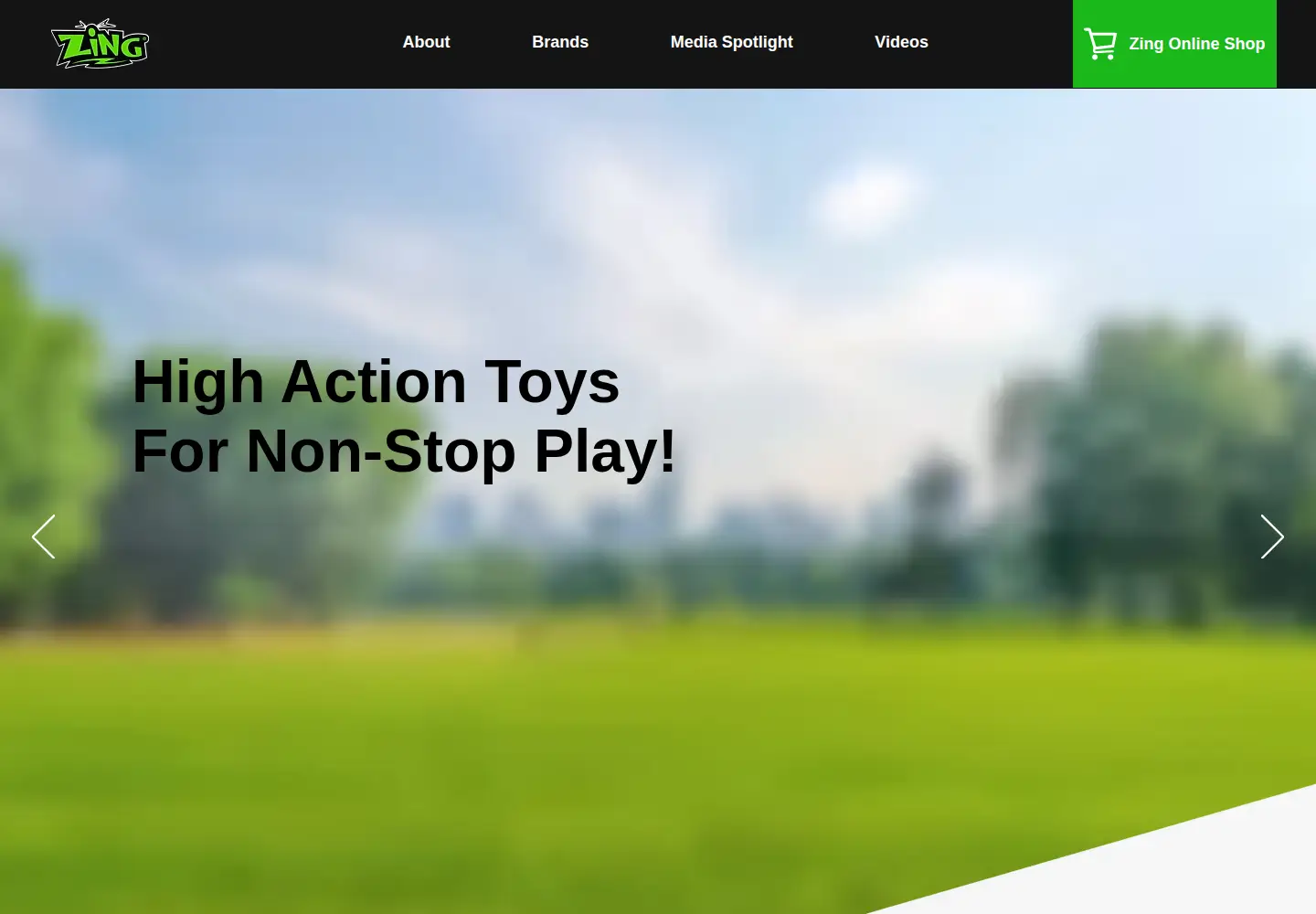 Screenshot of zing.toys