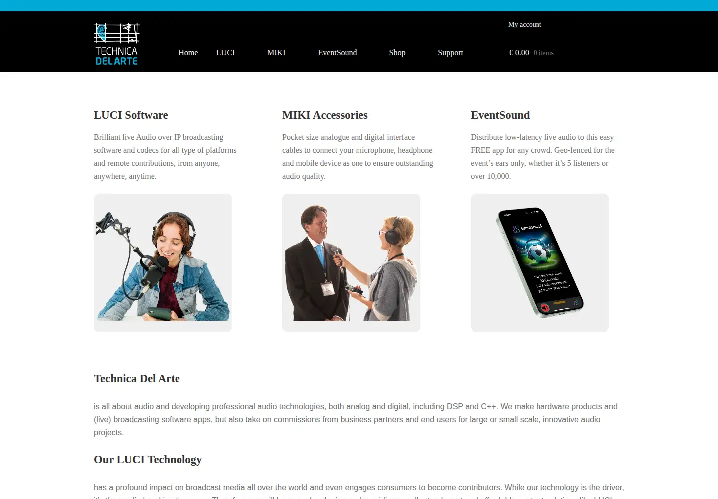 Screenshot of technicadelarte.com
