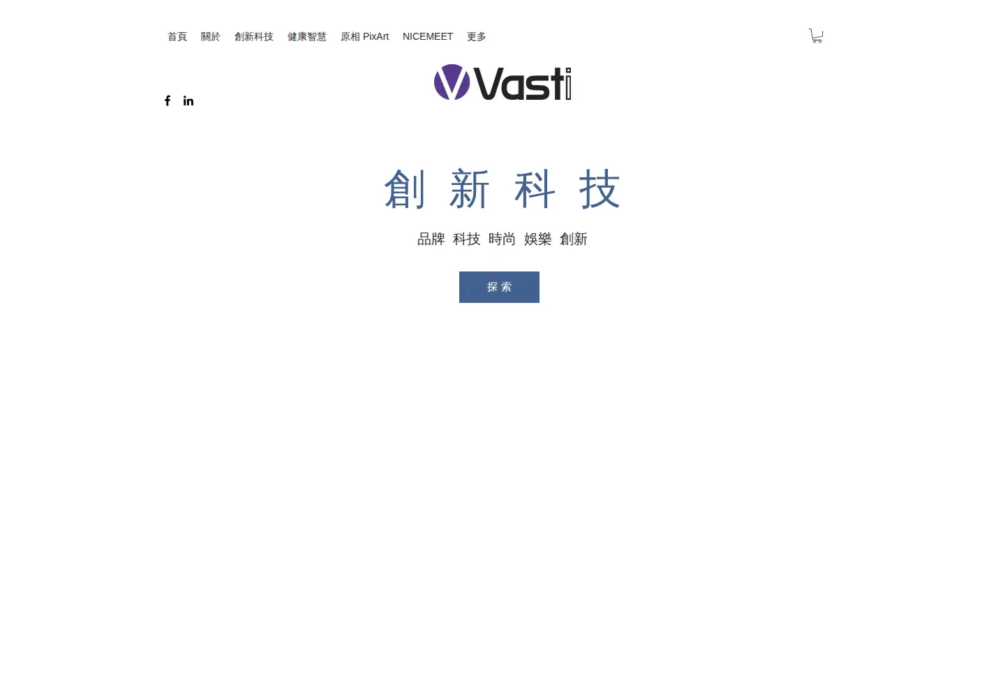 Screenshot of vastitw.com