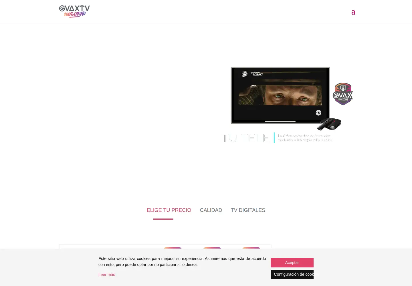 Captured homepage of gvax.tv in the current scan