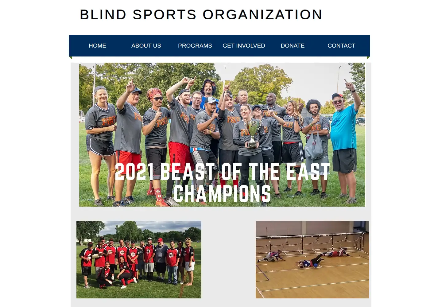Screenshot of blindsports.org