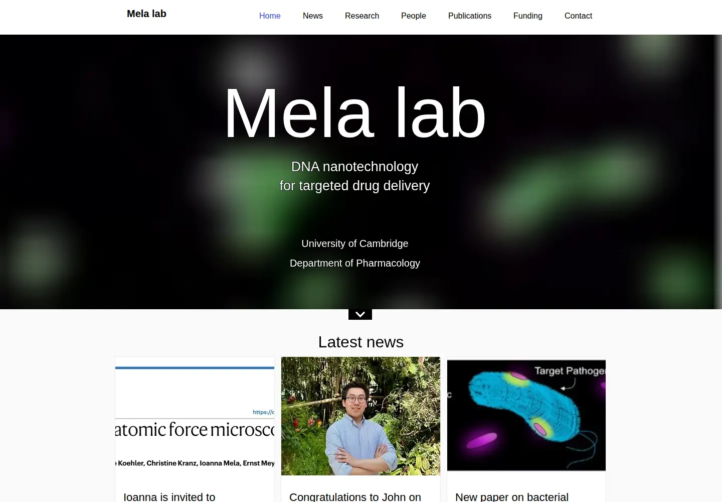 Captured homepage of ioannamela.com in the current scan