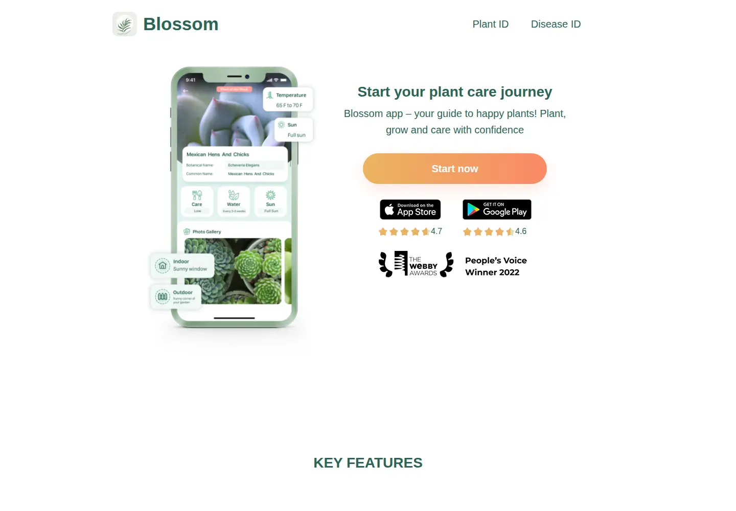 Screenshot of blossomplant.com