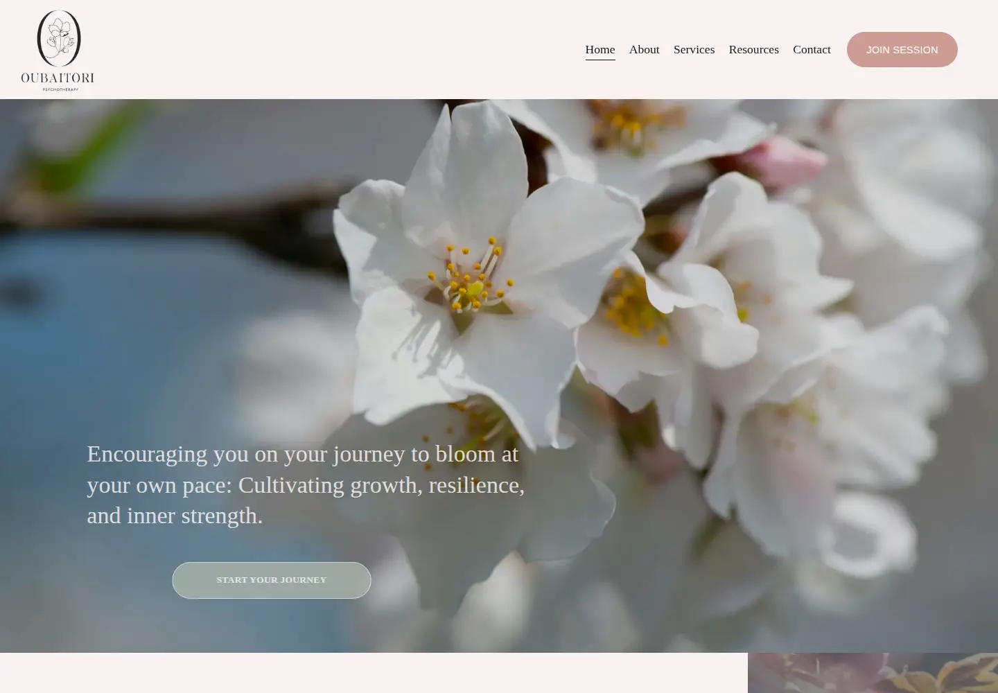 Screenshot of oubaitoripsychotherapy.com