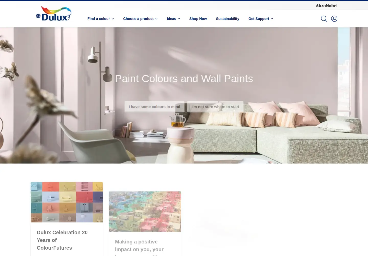 Screenshot of dulux.com.pk