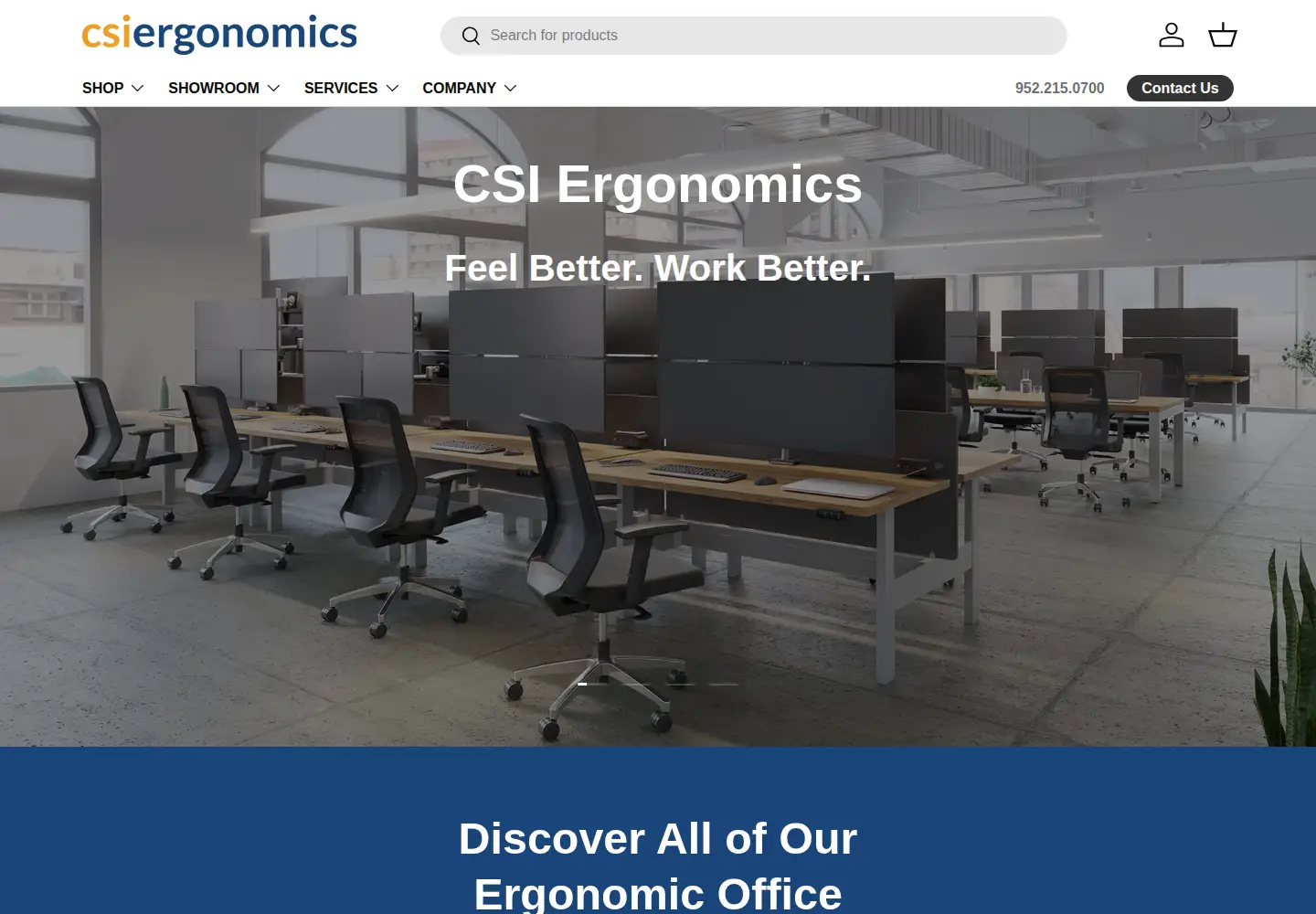 Captured homepage of csiergonomics.com in the current scan