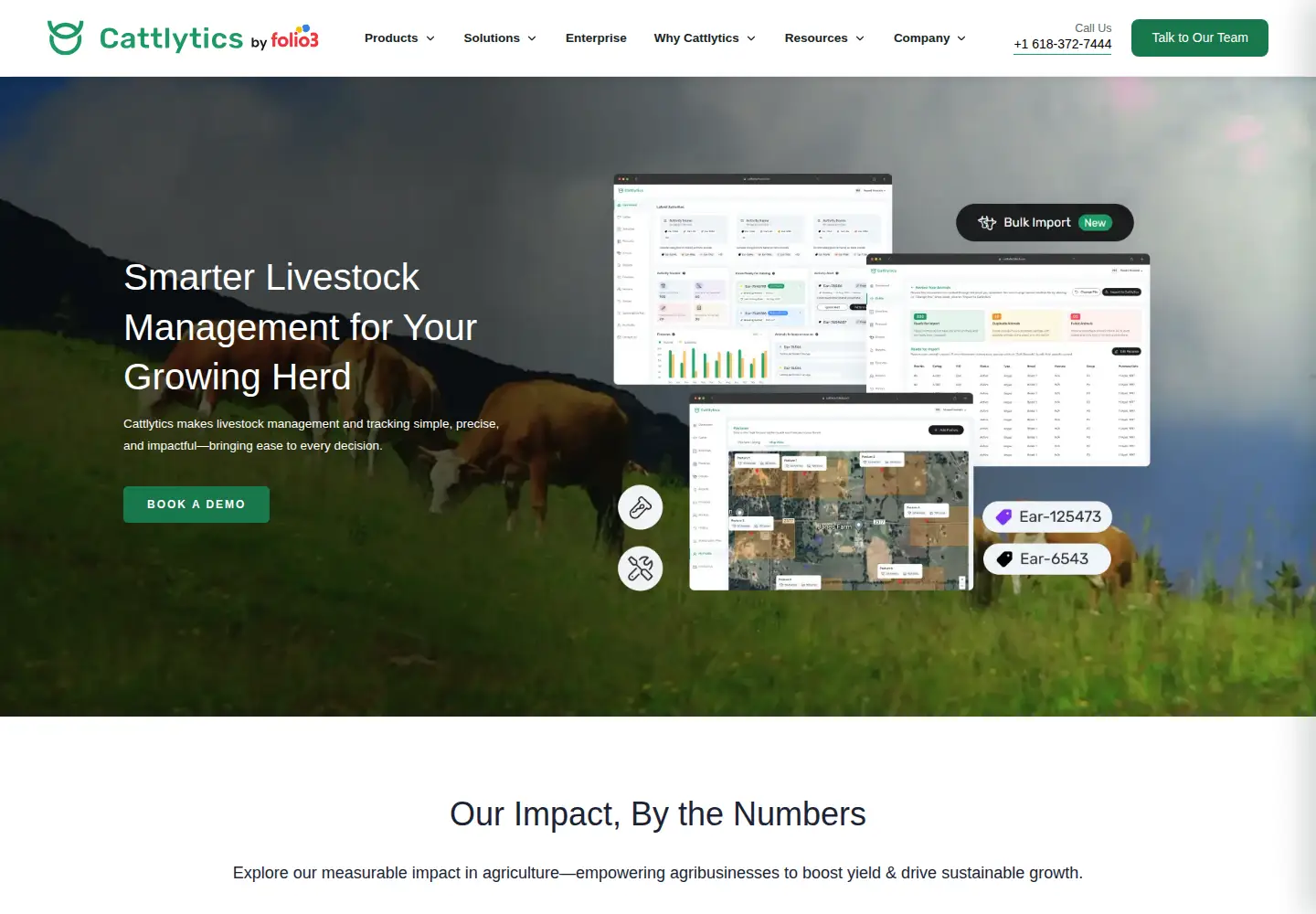 Captured homepage of cattlytics.com in the current scan