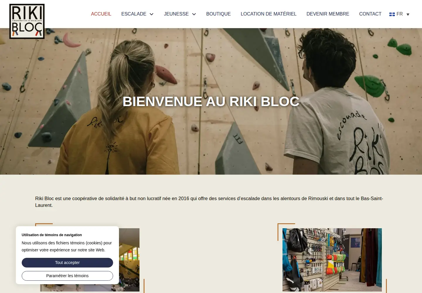 Screenshot of rikibloc.com